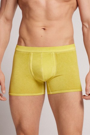 Boxer Intimissimi Natural Fresh Cotton Panske Žlté | 34210-WECQ