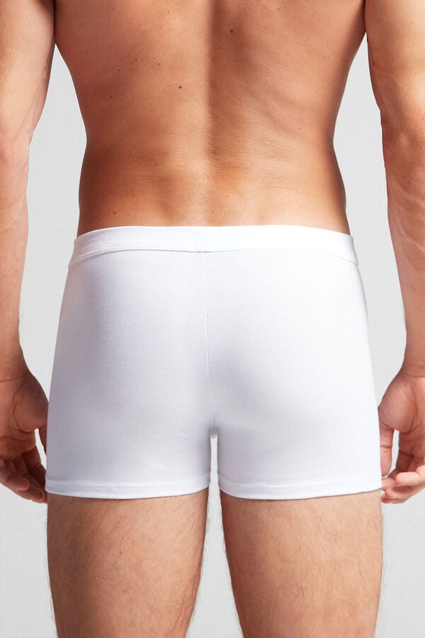 Boxer Intimissimi Superior Cotton Panske Biele | 14503-XEPB